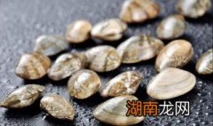 花甲怎么去沙 花甲去沙的方法介绍