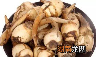 茨菇怎么吃 吃茨菇的方法介绍