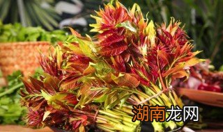 怎样炸香椿好吃 制作炸香椿的方法