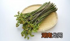 蕨菜炒肉丝的做法 怎么做蕨菜炒肉丝