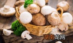 排骨炖蘑菇的家常做法 排骨炖蘑菇的家常做法步骤