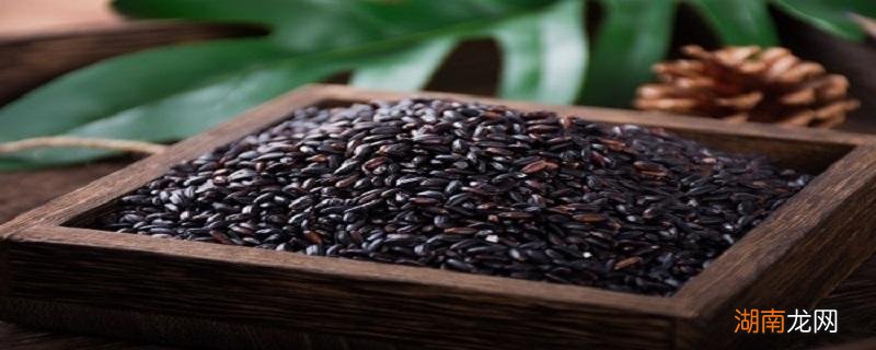 黑米和黑豆能一起煮吗 黑米和黑豆哪个好
