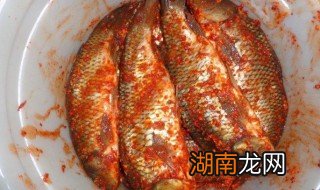 腌鱼的配料方法 腌鱼的配料方法有哪些