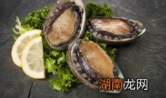 鲍鱼的做法粥 怎么做鲍鱼粥