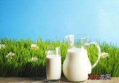 薄荷和牛奶能一起吃吗 薄荷牛奶怎么做最好吃