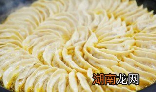 牛肉锅贴的做法 牛肉锅贴怎么做