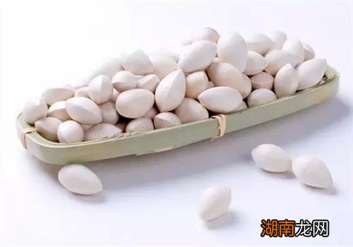 白果怎么吃比较好 白果怎么吃不会中毒