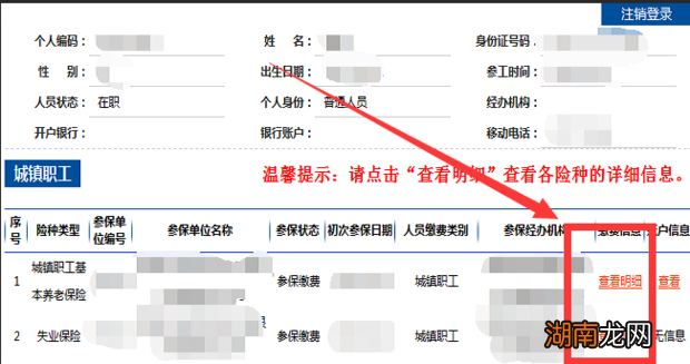 怎么网上查询个人社保情况
