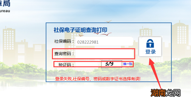 怎么网上查询个人社保情况