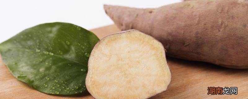 地瓜可以放多久 番薯怎么放才能放久