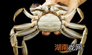 大闸蟹腌制方法大全 腌制大闸蟹的3种家常做法