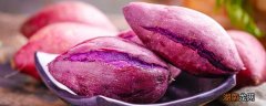 紫薯小的好吃还是大的好吃 紫薯怎么判断坏没坏