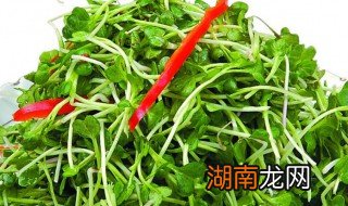 清炒萝卜叶做法窍门是什么 清炒萝卜叶做法窍门