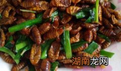 葱炒蚕蛹如何做 大葱耗油炒蚕蛹的做法