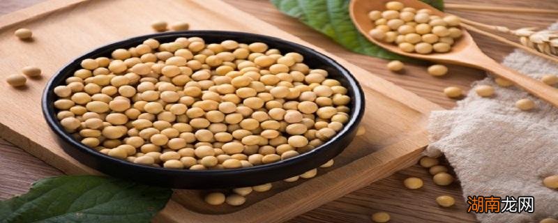 黄豆熬粥的效果好吗 黄豆粥的做法