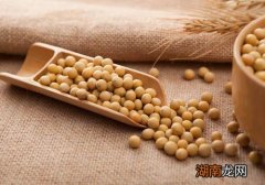 黄豆能丰胸吗