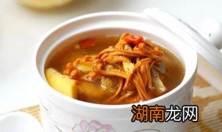 虫草花肉糜汤如何做 虫草花肉糜汤的烹饪方法