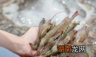 河虾怎么保存 存放虾的方法