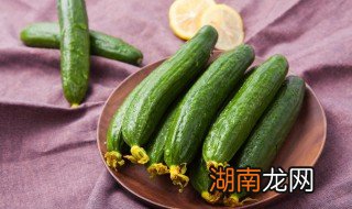 黄瓜咸菜怎么腌制又脆又好吃 小黄瓜咸菜怎么腌制又脆又好吃视频