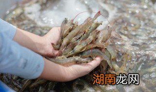 大虾怎么做酥脆 制作酥脆大虾的方法