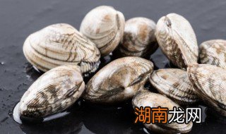 蛤蜊苦菜心汤怎么做 蛤蜊苦菜心汤的烹饪方法