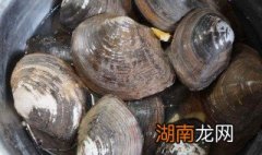 河蚌粉丝汤怎么做 河蚌粉丝汤的做法