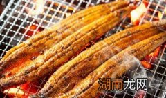 什么鱼做烤鱼好吃 什么鱼做烤鱼比较好
