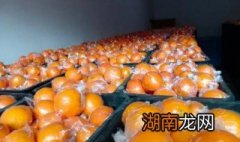 椪柑的保鲜方法 椪柑如何保鲜