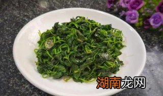 酒香草头怎么炒好吃 炒酒香草头的方法