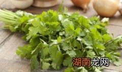 香菜炒什么好吃 香菜的烹饪方法