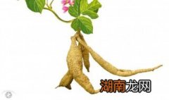 葛根煮水煮多久 葛根煮水煮多久好