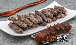 怎样吃海参 海参的吃法