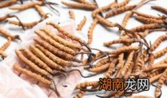 冬虫夏草怎样吃效果最好 怎样吃冬虫夏草效果最好
