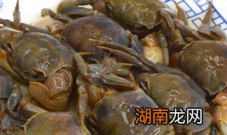 醉小蟹的正确食用方法 怎样正确食用醉小蟹