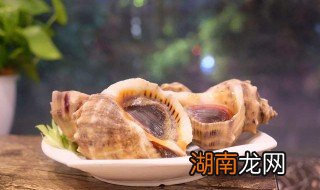 海螺煮多久可以吃 海螺煮多久能熟