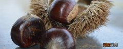 板栗可以煮粥吗 吃板栗会胀气吗