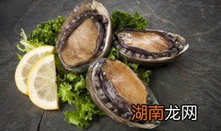 鲍鱼炖什么好吃 鲍鱼怎么炖好吃