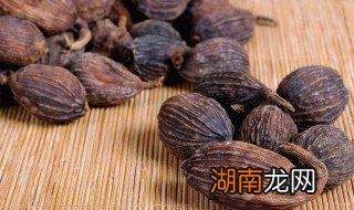 草果和香果使用的区别 草果和香果使用的区别图片