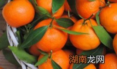 桔子挑选方法 桔子挑选方法介绍