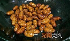 蚕怎么做好吃 蚕如何做好吃