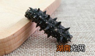 海参好吃吗 海参好不好吃