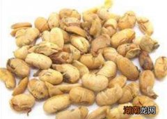 大豆黄卷的营养价值