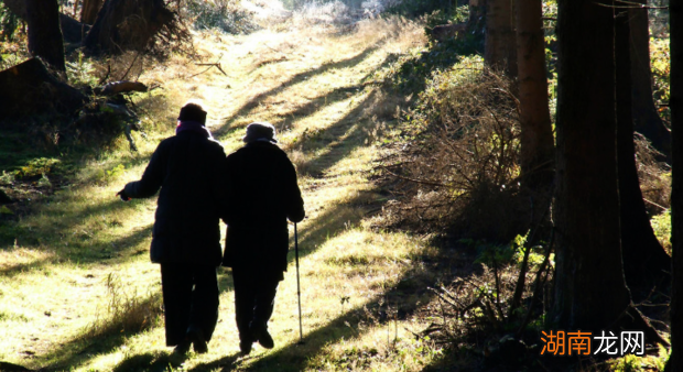 社会养老保险缴费比例