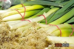 葱白煮水用什么葱 葱白煮水的功效