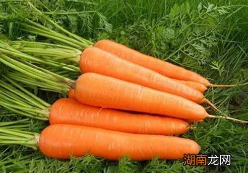 吃什么食物对皮肤好 这些越吃越美