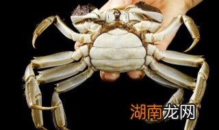 蟹肉粥家常做法大全 蟹肉粥的烹饪方法