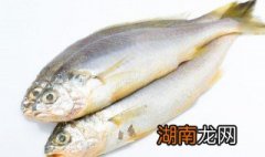 冷冻鲽鱼怎么做好吃 冷冻鲽鱼怎么做才好吃