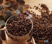 决明子的功效与作用及食用方法