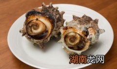 炒海螺的做法 怎么做炒海螺