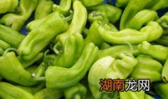 酱油腌辣椒的做法 怎么做酱油腌辣椒